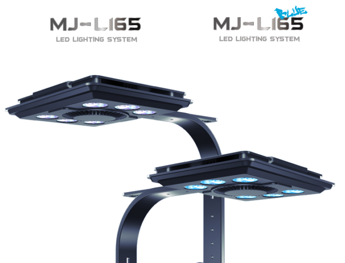 MAXSPECT MJ L165/MJ L165 BLUE