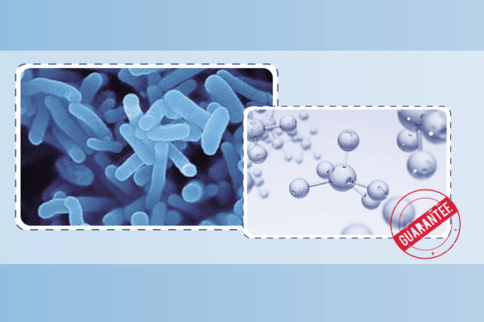 Maxspect Bio Blocks/Bio Spheres - Image 3