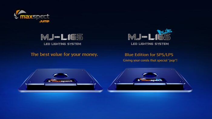 MAXSPECT MJ L165/MJ L165 BLUE - Image 2