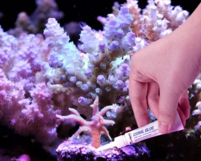 Maxspect Coral Glue 5GM - Image 4
