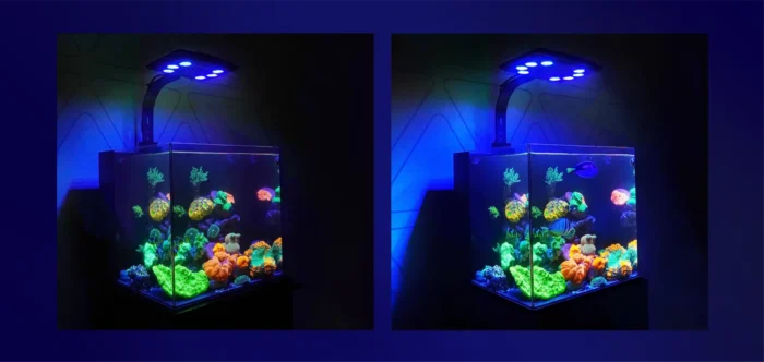 MAXSPECT MJ L 260/ MJ L 290 - Image 3